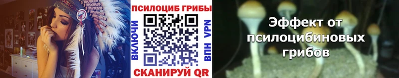 где найти   Лысьва  Псилоцибиновые грибы GOLDEN TEACHER 